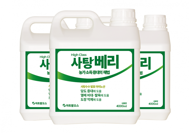 사탕베리